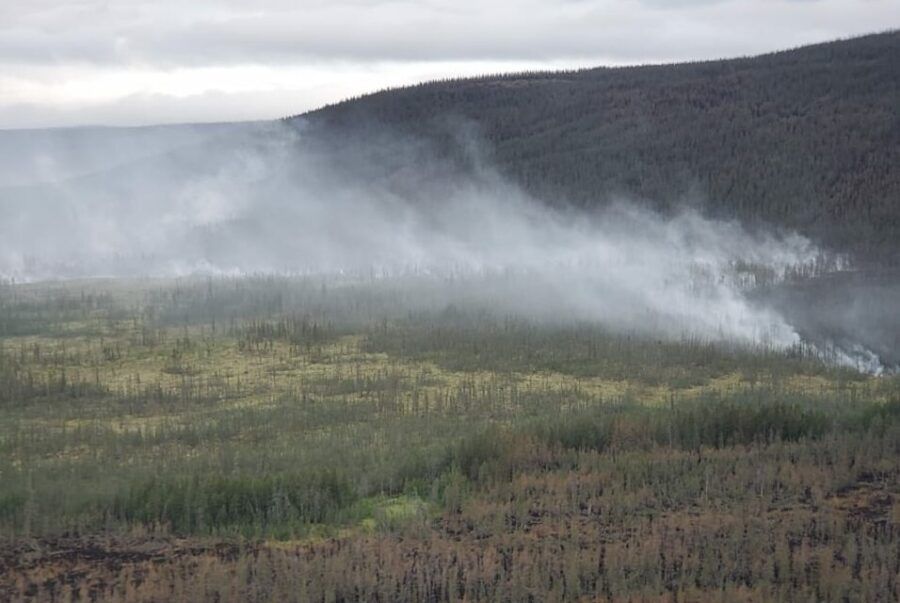 Как новая климатическая реальность влияет на лесные пожары в Якутии