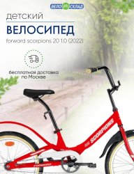 Детский велосипед Forward Scorpions 20 1.0, год 2022, цвет Красный-Белый / Велосипеды Детские