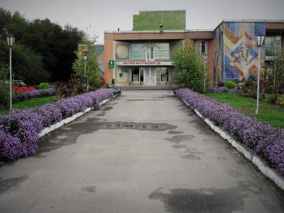 Костино-Быстрянский сельский дом культуры