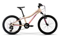 Детский велосипед Merida Matts J.20 Eco, год 2022, цвет Серебристый-Фиолетовый / Велосипеды Детские