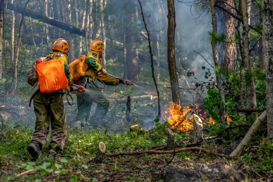 Авиалесоохрана: причиной лесных пожаров в Якутии являются грозы