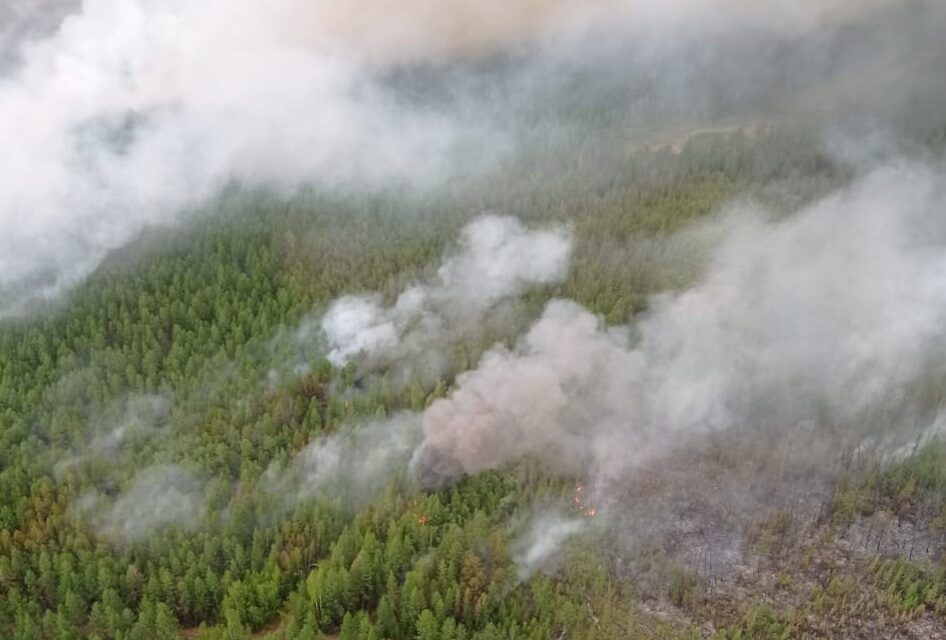 В трех районах Якутии сохраняется высокая пожарная опасность в лесах