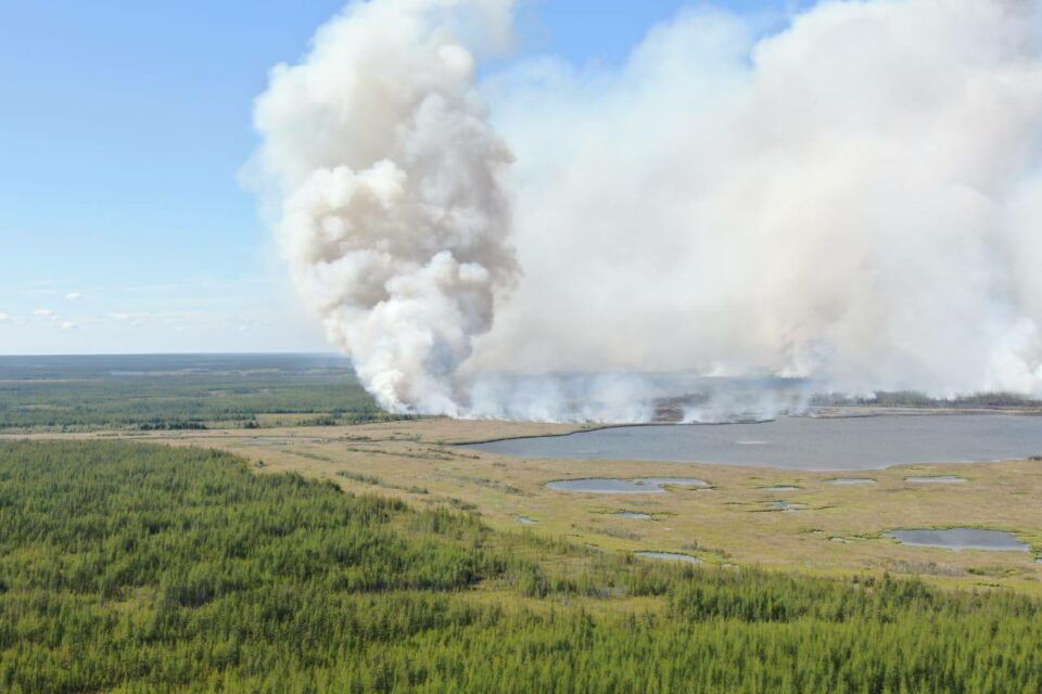 Лесной пожар действует недалеко от села Налимск в Якутии