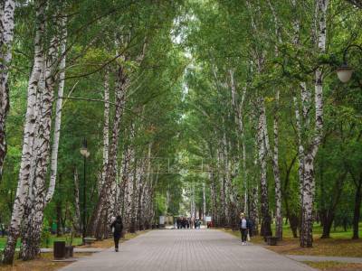 Сад имени В. Л. Миндовского