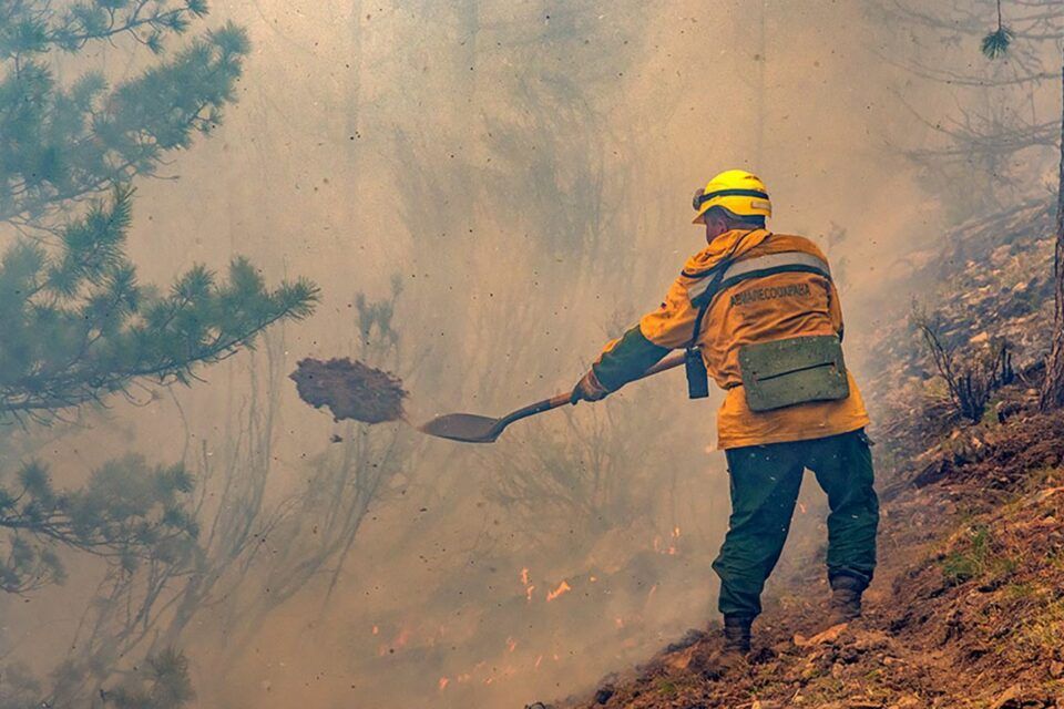 В трех районах Якутии снят режим ЧС из-за лесных пожаров
