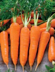 Морковь Рахат Лукум (УД) 1 гр цв.п. / Морковь семена