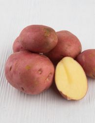 Картофель Ажур, элита 1 кг / Картофель семенной