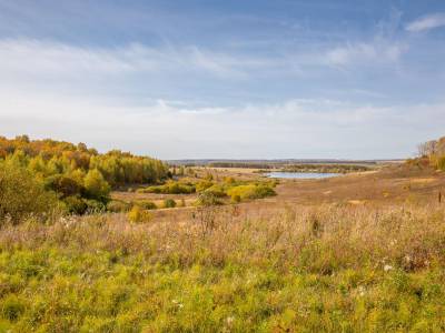 Роща «Лучинник»