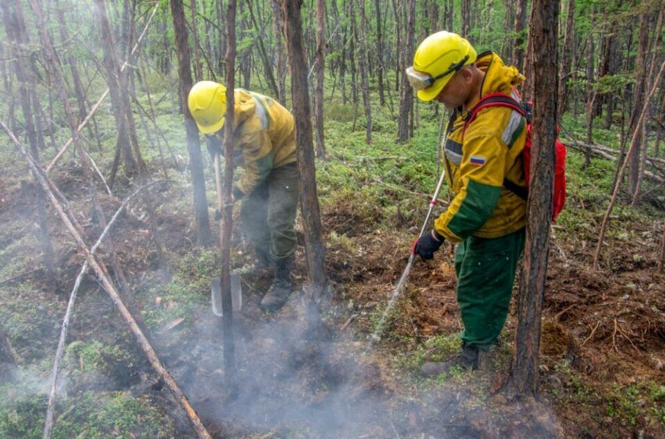 В Якутии за сутки ликвидировали 15 лесных пожаров