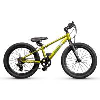 Детский велосипед Maxiscoo 5 Bike 20 M, год 2024, цвет Зеленый / Велосипеды Детские