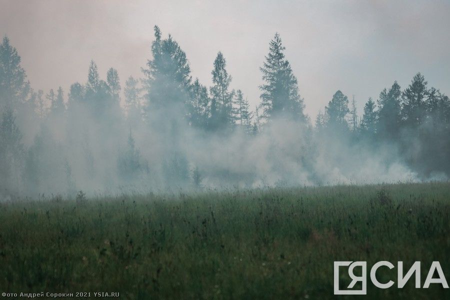 Дым от пожаров в Хабаровском крае может прийти в Якутию