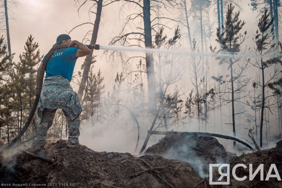 26 новых лесных пожаров обнаружено за сутки в Якутии