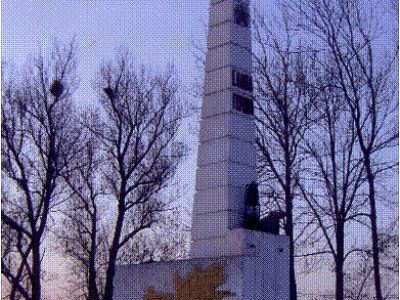 Памятник шахтёрам шахтоуправления "Дальневосточное", погибшим в годы Великой Отечественной войны /  / Приморский край