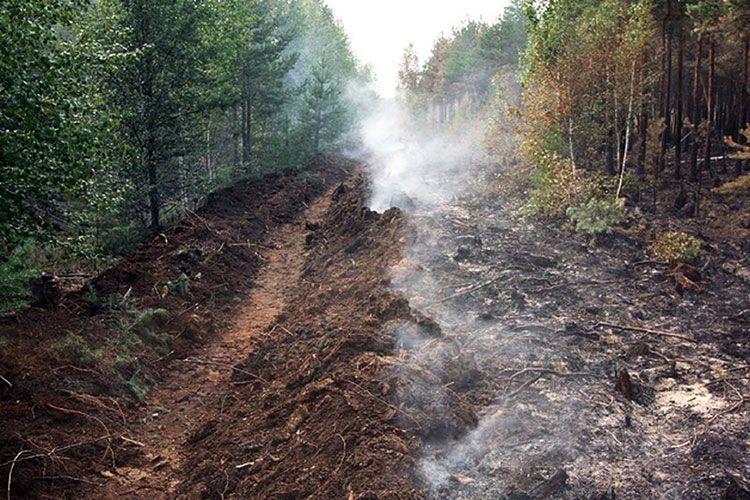В Якутии минерализованные полосы для борьбы с пожарами прокладывают взрывами