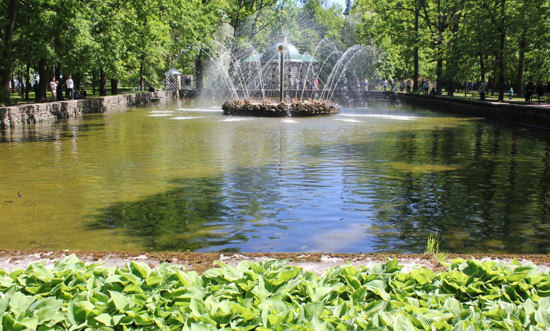 Декоративный пруд с фонтаном (33 фото)