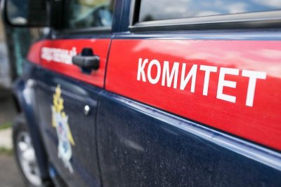 По факту убийства двух мужчин в Усть-Майском районе Якутии расследуется уголовное дело