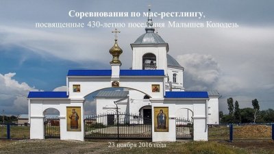 В Воронеже соревнования по мас-рестлингу среди детей посвятили 430-летию поселения Малышев Колодезь.  /    