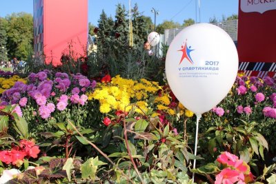 Спартакиада землячеств в столице. Москвичи проиграли. Фото /  Москва Москва Город Москва