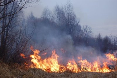 Четверо пострадавших от пожаров в Забайкалье находятся в тяжелом состоянии