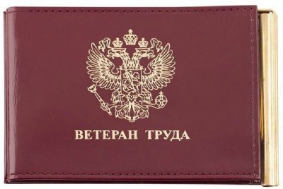 В России предлагают упростить порядок получения «Ветерана труда»