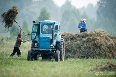 Минтруд расширил список профессий селян, претендующих на надбавку к пенсии / ЯСИА   