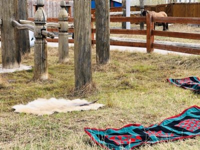 В музее Ярославского показали обряд переезда в сайылык / Иван Евсеев   