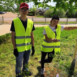 В Мирном дети из трудового лагеря посадили именные деревья