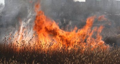 Причиной ландшафтного пожара в Верхоянском улусе стали сельхозпалы / Ольга Старостина  Верхоянский 