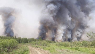 По факту возникновения лесного пожара в Верхоянском районе возбуждено уголовное дело / ЯСИА  Верхоянский 