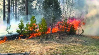 В Якутии тушат 29  природных пожаров / ЯСИА   Республика Саха (Якутия)