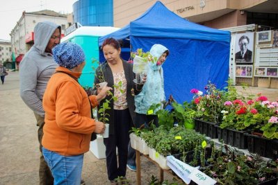 В Якутске проходит ярмарка садовых и комнатных растений / Вероника Аммосова Якутск Якутск Республика Саха (Якутия)