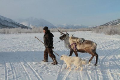 Жители Арктики освобождены от уплаты имущественных налогов / ЯСИА   