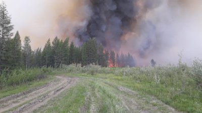 В Якутии возбудили первое уголовное дело на подозреваемого в возникновении лесного пожара / Аркадий Васильев   Республика Саха (Якутия)