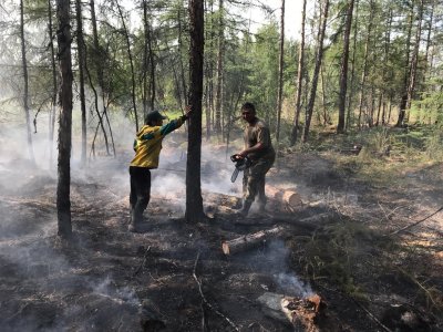 В Якутии за сутки ликвидировано 10 природных пожаров / Аркадий Васильев  Алданский Республика Саха (Якутия)