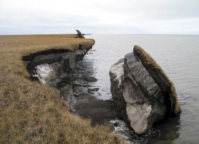 Не губить природу и садить деревья. Ученые рассказали, как сохранить вечную мерзлоту в Якутии / Ольга Старостина   Республика Саха (Якутия)