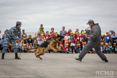 Найти наркотики и обезвредить преступника. В Якутске кинологи провели показательные выступления / Вероника Аммосова Якутск Якутск Республика Саха (Якутия)