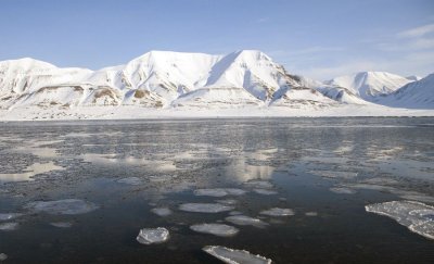 Температура в Арктике поднялась выше 34 градусов Цельсия