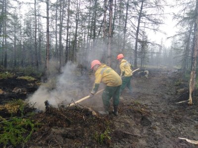 В Якутии за сутки ликвидировали 13 лесных пожаров