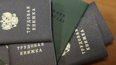 Комитет Госдумы поддержал законопроекты об электронных трудовых книжках / ЯСИА   