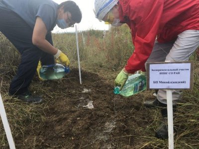 Ученые Якутии выявили новый вид углеводородокисляющих микроорганизмов, очищающих от нефти почву / ЯСИА   Республика Саха (Якутия)