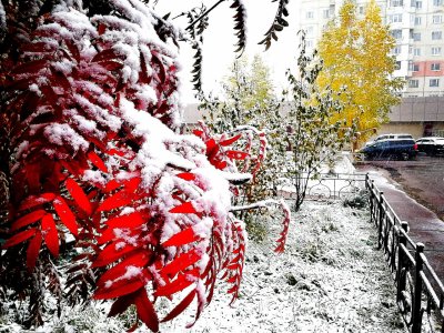 ФОТОФАКТ. Первый снег в Нерюнгри