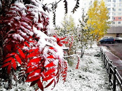 ФОТОФАКТ. Первый снег в Нерюнгри / Дьулус Борочков  Нерюнгринский Республика Саха (Якутия)