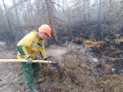 За прошедшие сутки в Якутии ликвидировали шесть лесных пожаров