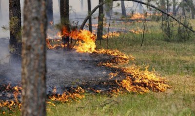 В Якутии тушат один лесной пожар