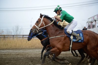 Намский улус победил в скачках на призы Минсельхоза Якутии / ЯСИА  Намский Республика Саха (Якутия)