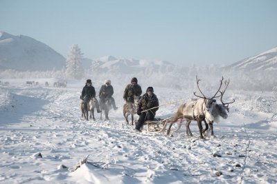 Долгая дорога домой. Задержанные оленеводы Усть-Янского района добрались до родного села Юкагир