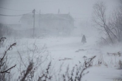 В ближайшие сутки на севере и западе Якутии ожидаются сильные порывы ветра / ЯСИА   Республика Саха (Якутия)