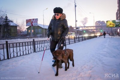 Будь моими глазами. Как собака-поводырь помогает якутянину Михаилу Кондакову / Ольга Старостина   Республика Саха (Якутия)