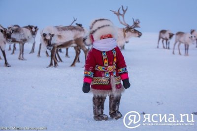 В Санкт-Петербурге обсудят сохранение и популяризацию языков народов Арктики