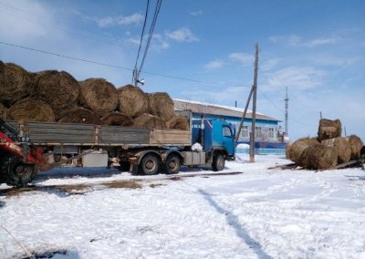 Первая партия забайкальского сена прибыла в Олекминский район Якутии 
